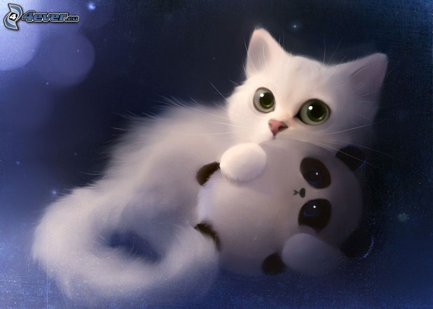 petit chaton blanc, panda
