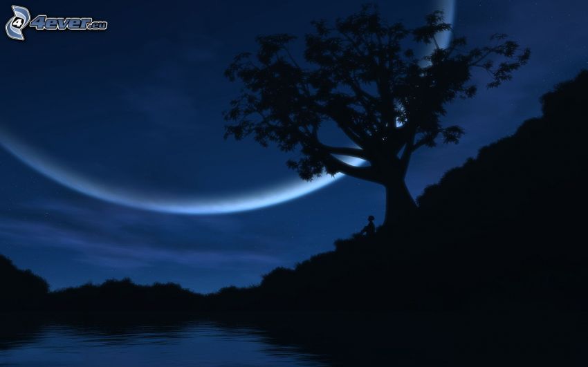 silhouette de l'arbre, lune, rivière, silhouette d'une forêt