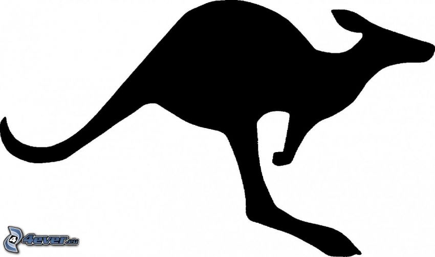 silhouette des kangourous
