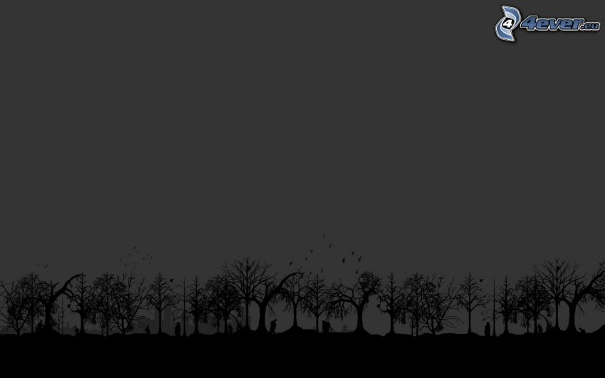 silhouettes d'arbres