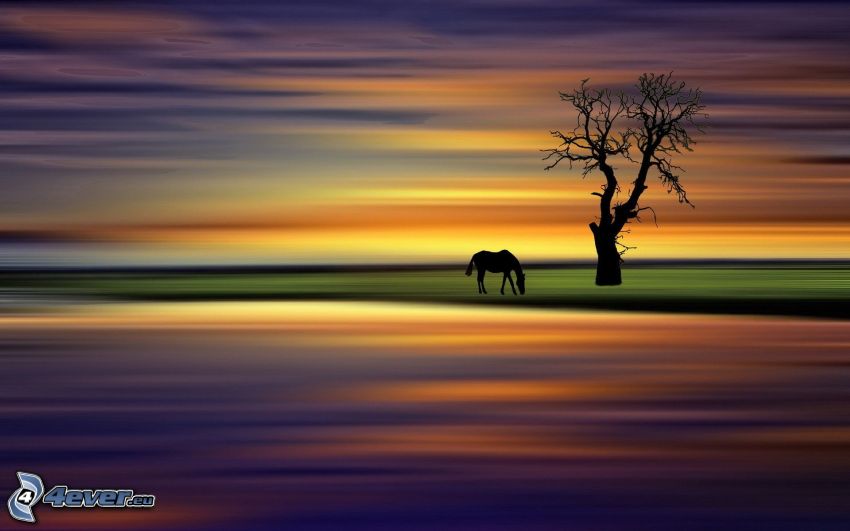 silhouettes de chevaux, silhouette de l'arbre