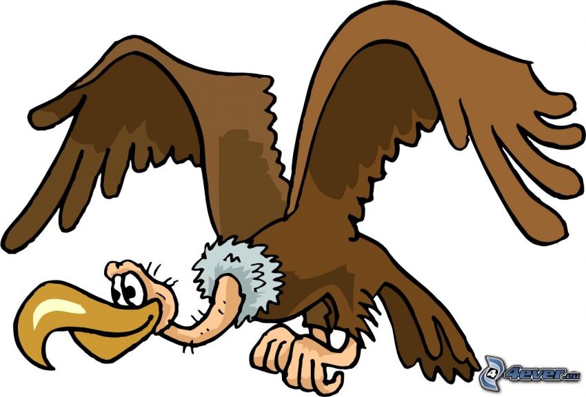 vautour, oiseau de bande dessinée