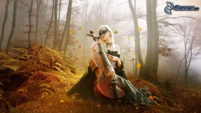 violoniste, brouillard dans la forêt
