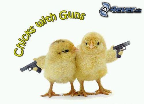 Chicks with guns, poussins, armes