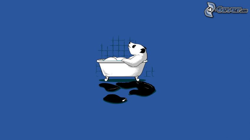 panda, bain