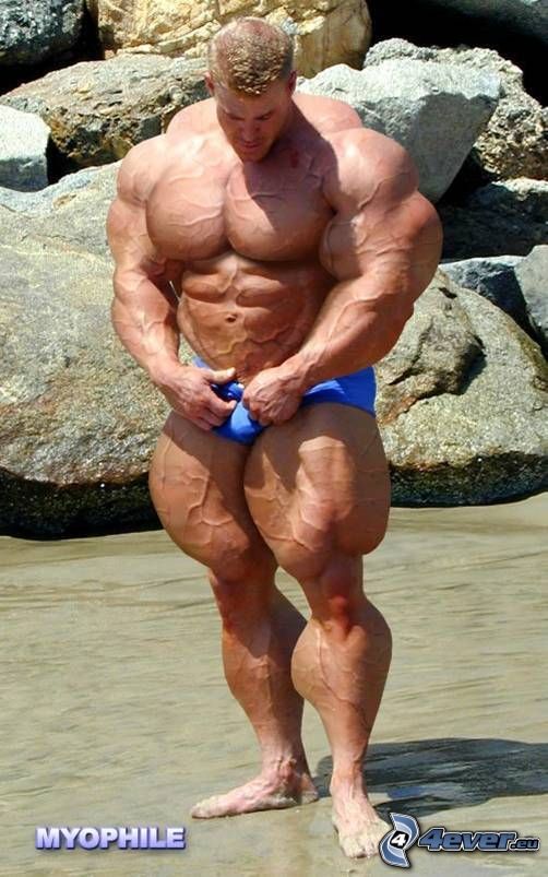 muscles, plage, eau, homme