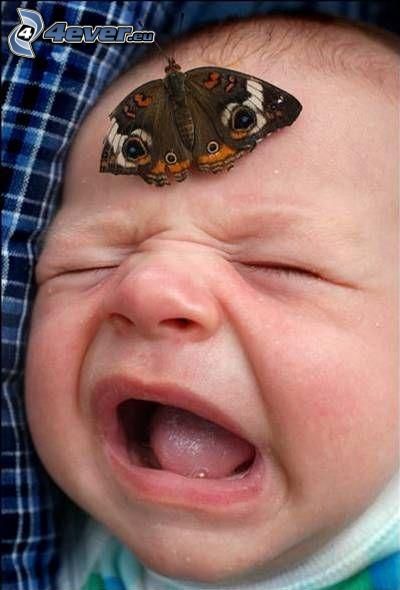papillon sur la tête, bébé qui pleure