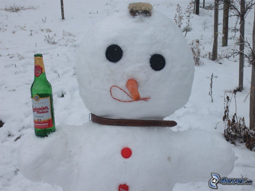 homme de neige, bière, bouteille, alcoolique
