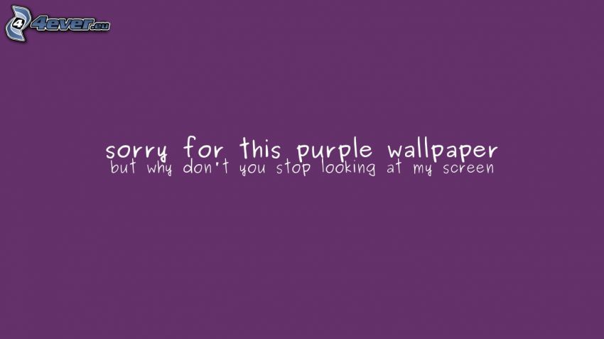 le fond violet, wallpaper
