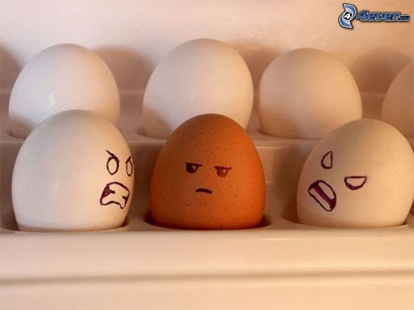 œufs, colère, racisme