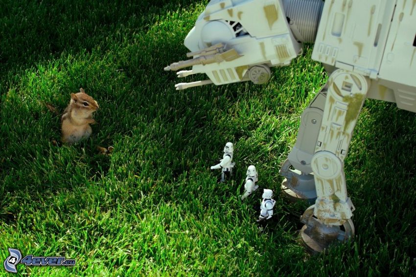 Star Wars, parodie, écureuil dans l'herbe
