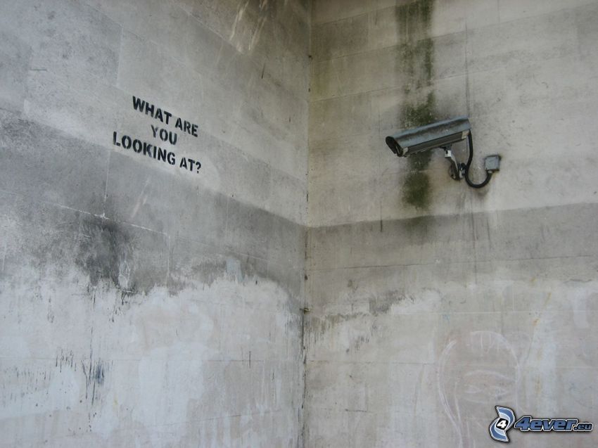 appareil photo, mur, surveillance, video