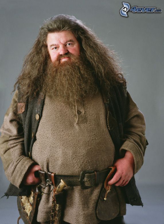 Rubeus Hagrid, Harry Potter