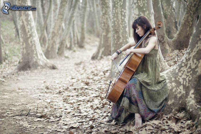 fille jouante du violoncelle, forêt