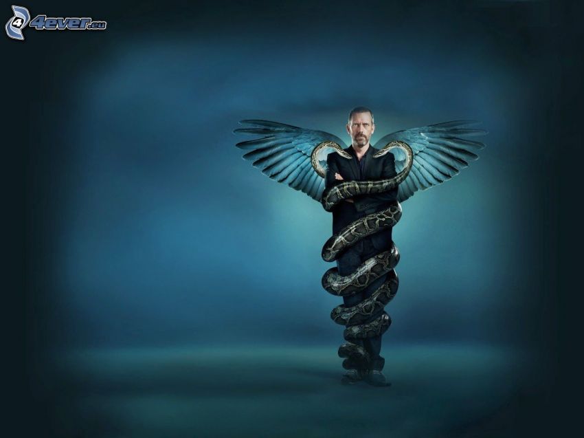 Dr. House, ailes, des serpents