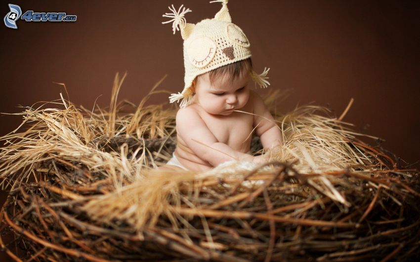 bébé, nid, chapeau, oiseau