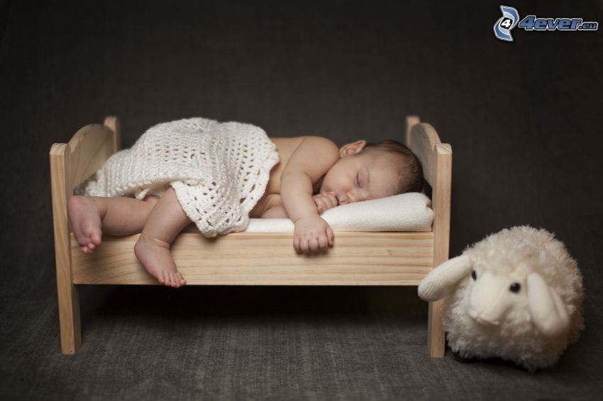 dormir bébé, mouton