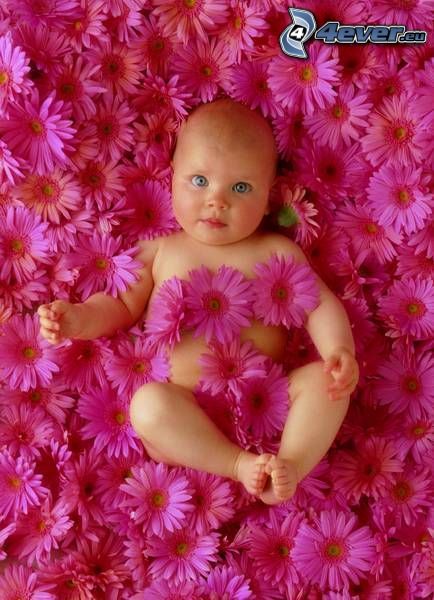 enfant dans les fleurs, bébé