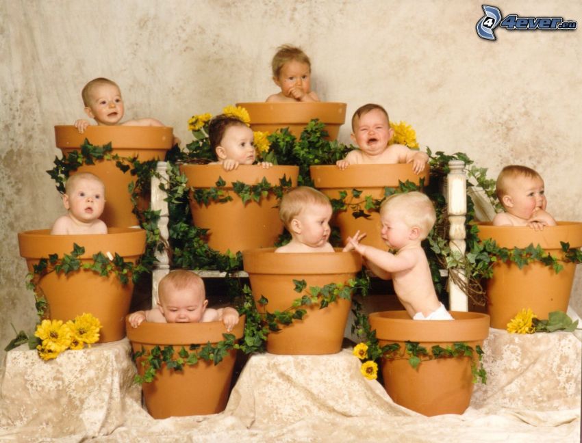 enfants dans des pots, les pots de fleurs