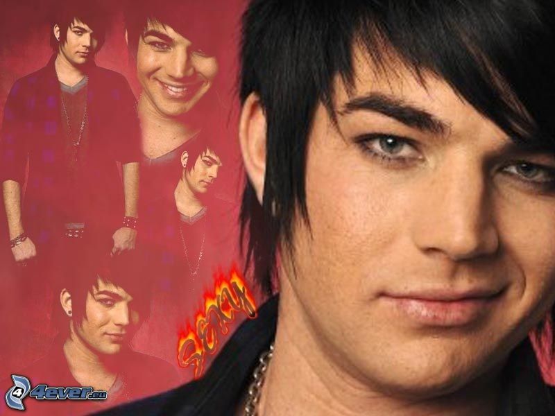 Adam Lambert, collage