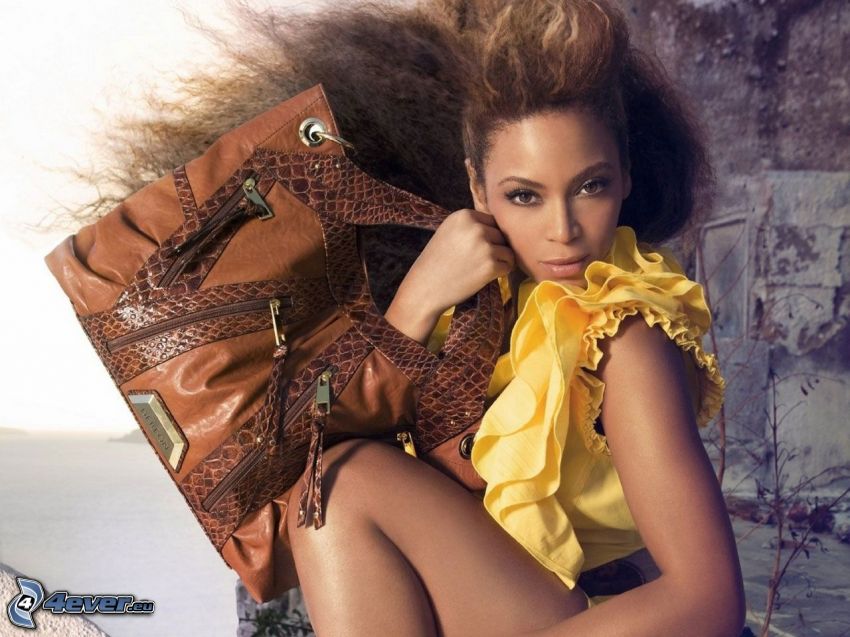 Beyoncé Knowles, sac à main