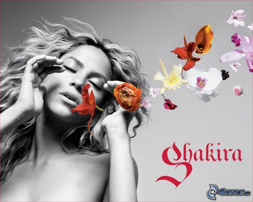 Shakira, chanteuse