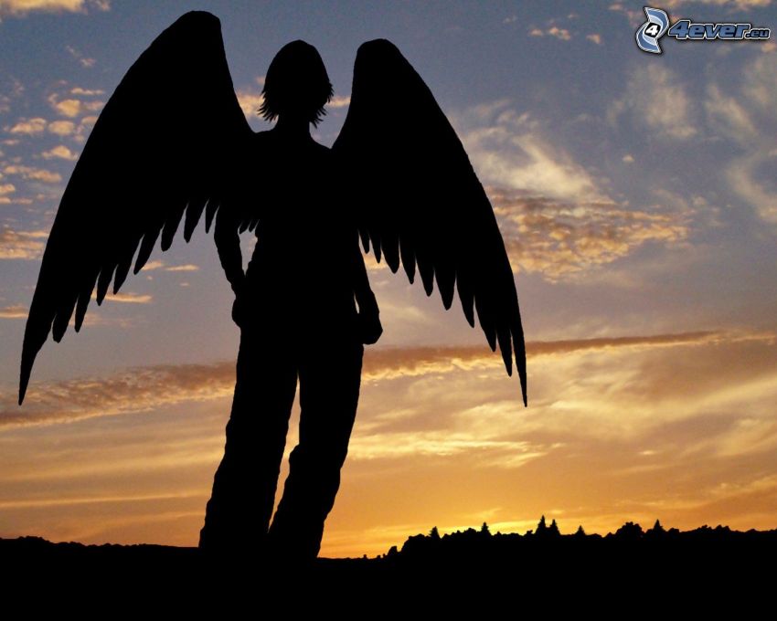 silhouette de la femme au coucher du soleil, femme avec des ailes, ciel