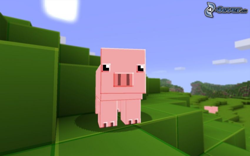 cochon, Minecraft