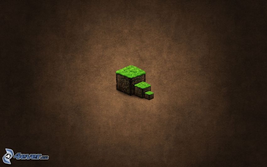 Minecraft, cubes