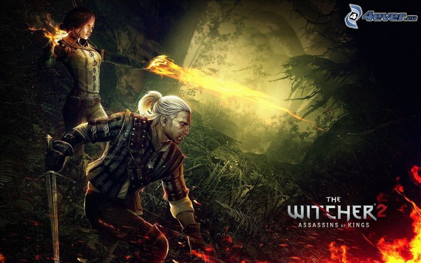 The Witcher 2: Assassins of Kings, guerriers