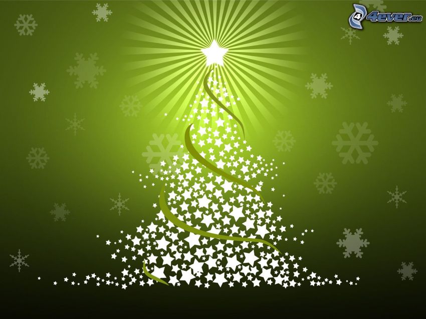arbre de Noël, fond, étoiles