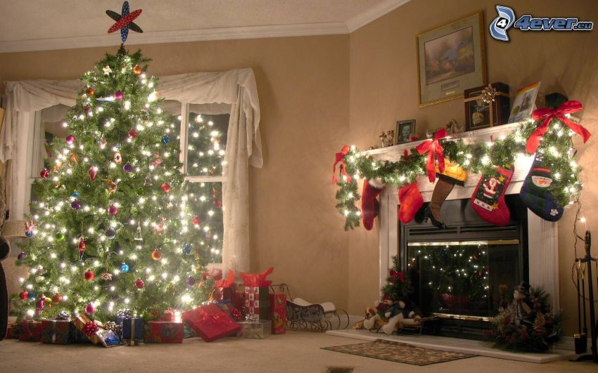 arbre de Noël, salle de séjour