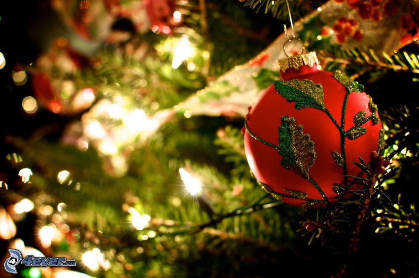 bulle de Noël, arbre de Noël
