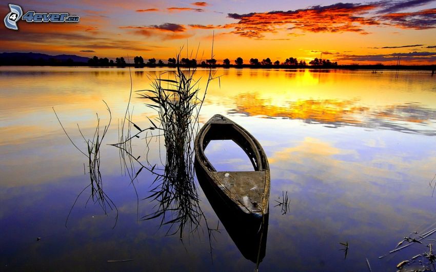 canoë, épave de navire, après le coucher du soleil, lac