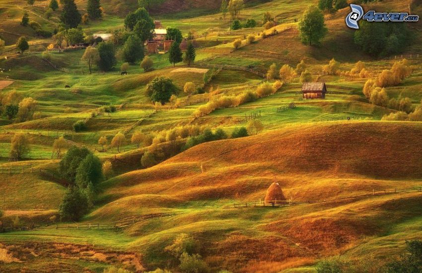 champs, maison, arbres d'automne