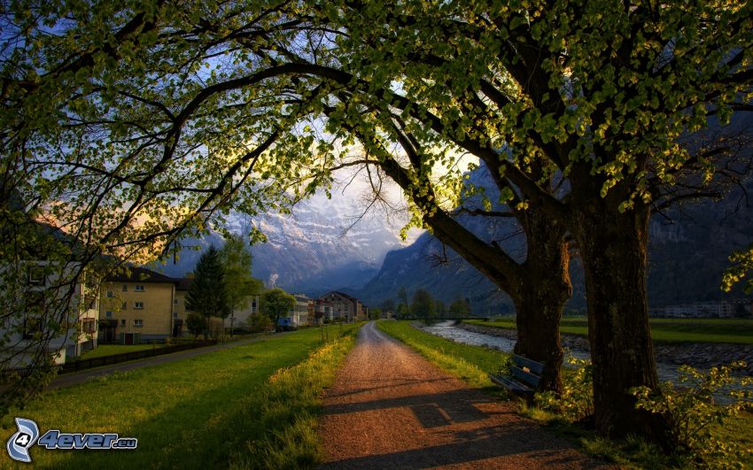 chemin le long du ruisseau, arbres, herbe verte, maisons, montagnes enneigées, Suisse