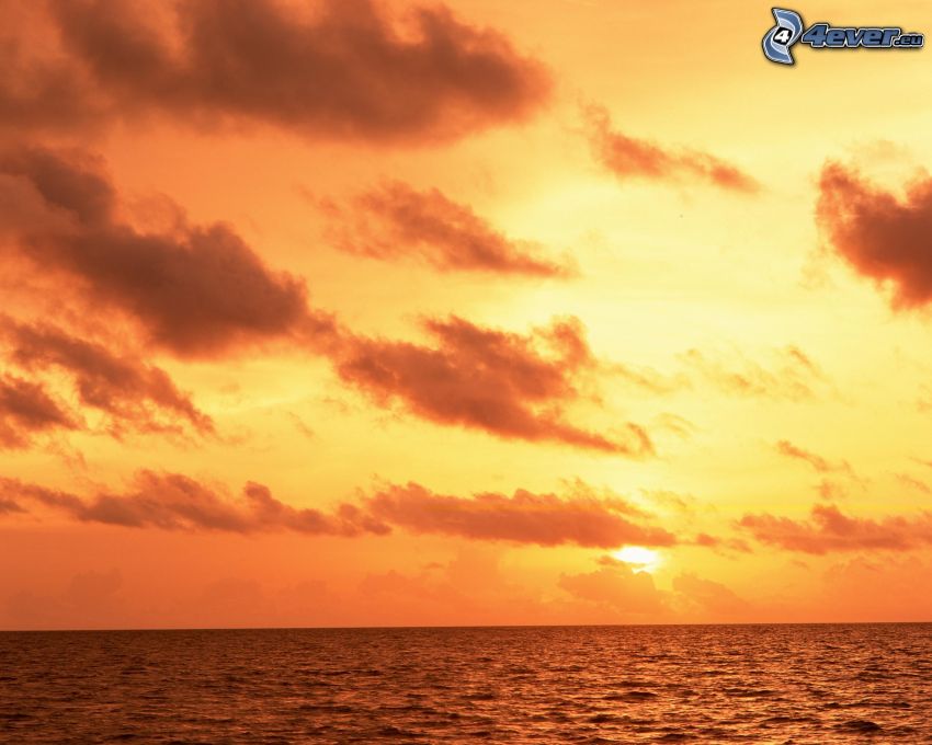 coucher du soleil orange, mer, océan, surface de l'eau, nuages