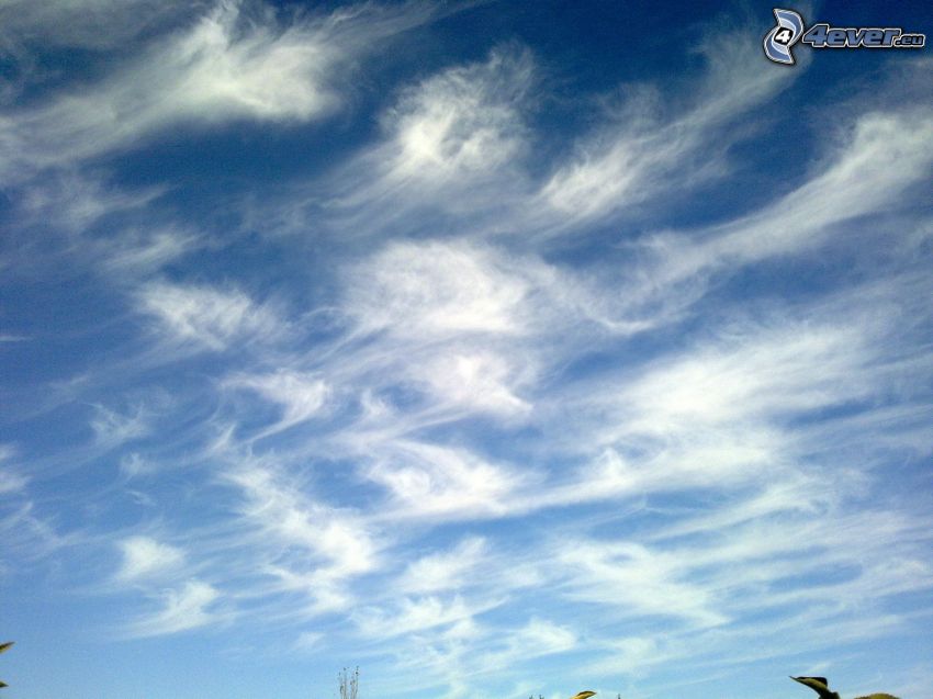 nuages, ciel bleu