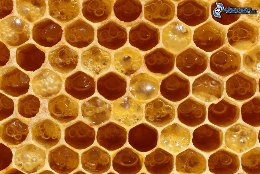 cire d'abeille, miel