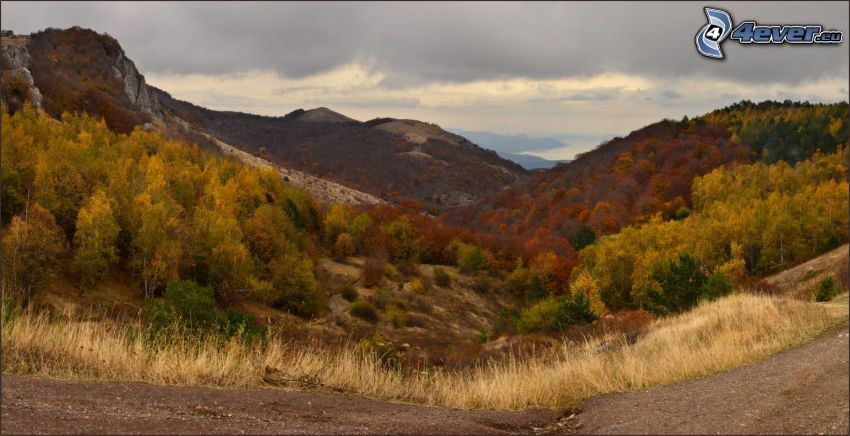 collines, des arbres d'automne coloré