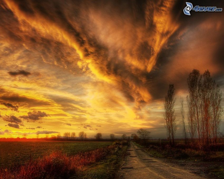 coucher du soleil orange, route, nuages