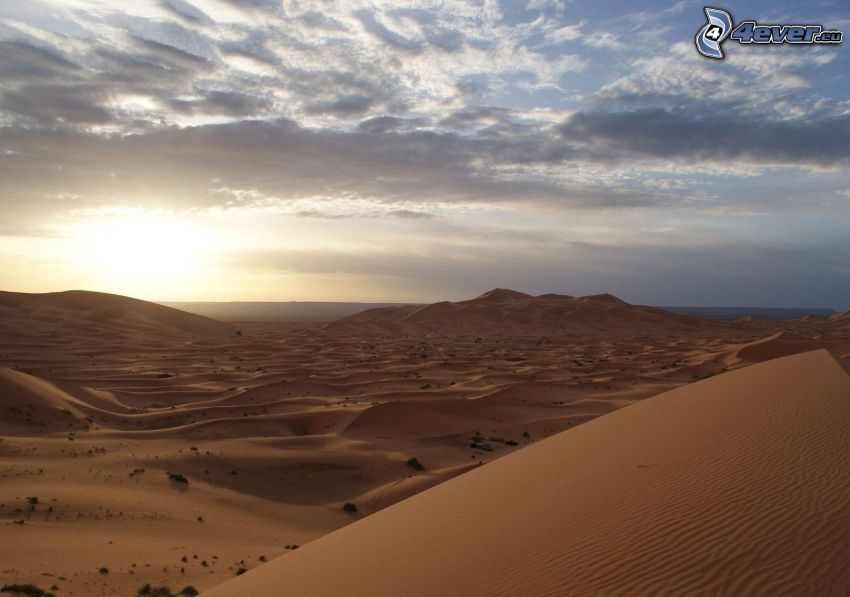 désert, dune de sable