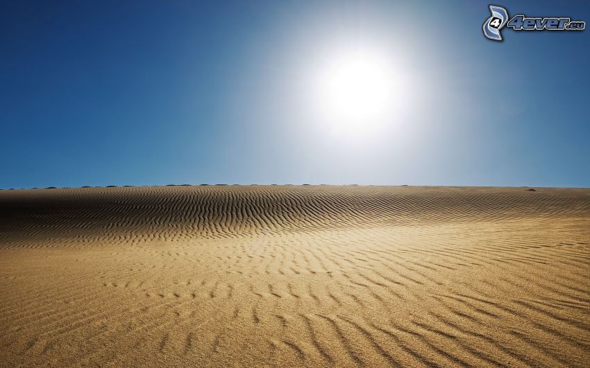 désert, soleil