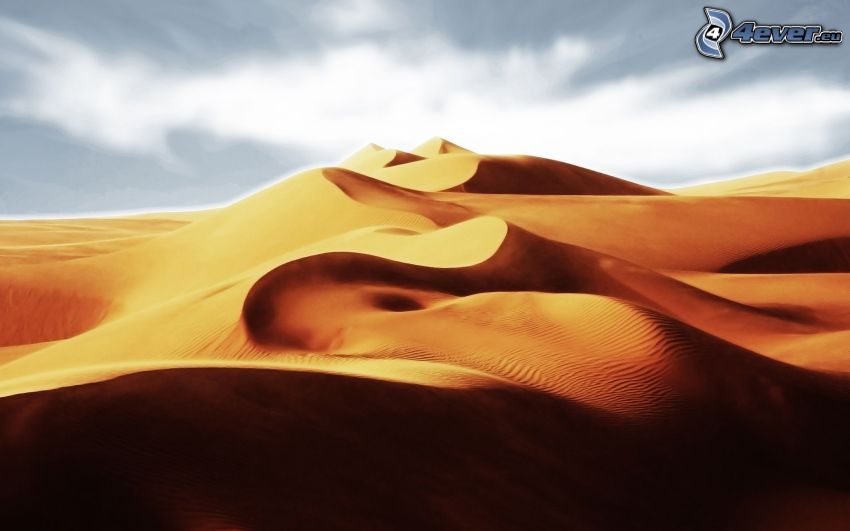 dunes de sable