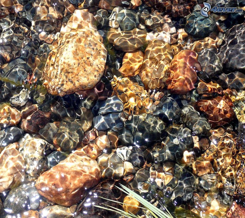 eau, pierres, Parc national de Yosemite