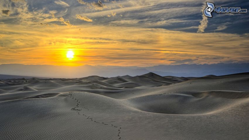 empreintes dans le sable, désert, dunes de sable, coucher du soleil