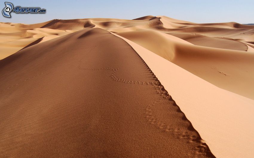 empreintes dans le sable, désert, dunes de sable