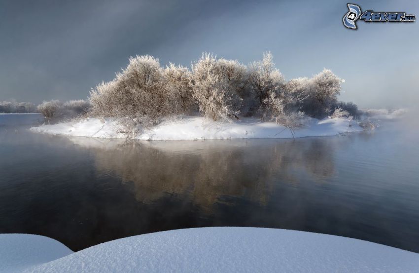 île, arbustes, neige, lac