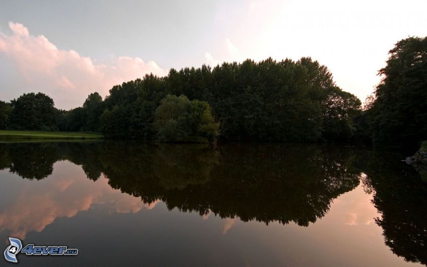 lac, arbres, surface de l´eau calme, reflexion