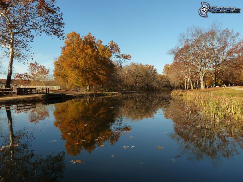 lac, arbres d'automne, reflexion